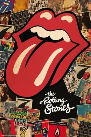 A Rolling Stones története poszter