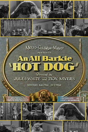 Hot Dog poszter