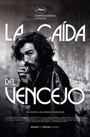 La caída del vencejo