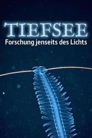 Abysses, la face cachée des océans poszter