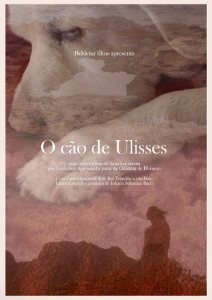 O cão de Ulisses poszter