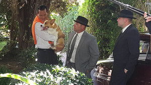 Frank and Ava háttérkép