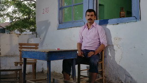 Kurbağalar háttérkép