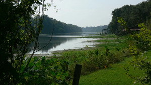Rivers and Life kép