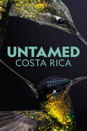 Untamed Costa Rica with Filipe DeAndrade poszter