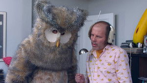 Hibou háttérkép