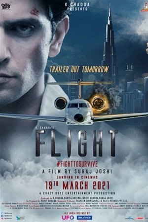 Flight poszter