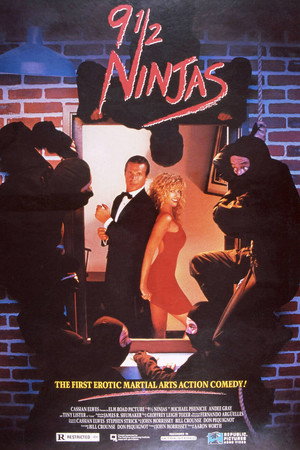 9 1/2 Ninjas! poszter