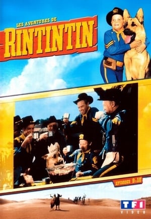 The Adventures of Rin Tin Tin