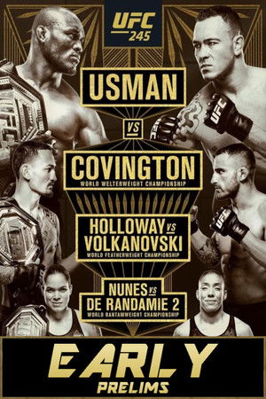 UFC 245: Usman vs. Covington poszter