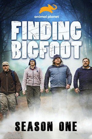 Finding Bigfoot