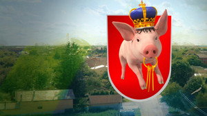 Mangalița kép