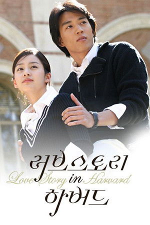 러브스토리 인 하버드