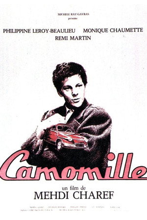 Camomille