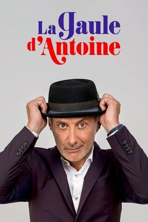 La Gaule d'Antoine poszter