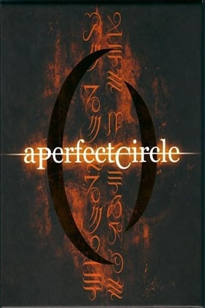 A Perfect Circle: Stone and Echo poszter