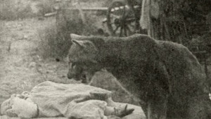 The Sheriff's Baby háttérkép