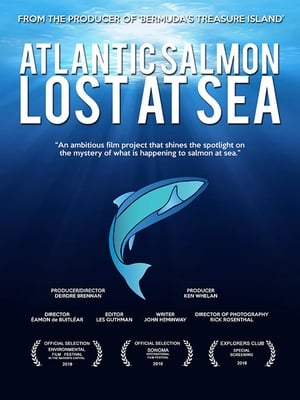 Atlantic Salmon: Lost at Sea