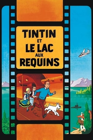 Tintin és a cápató rejtélye poszter