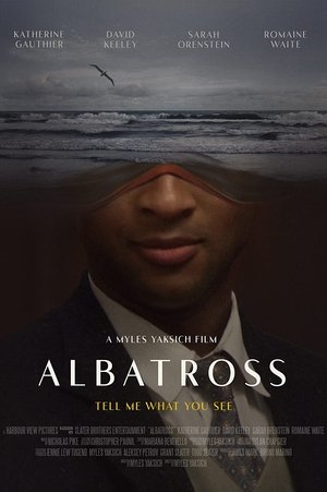 Albatross poszter