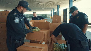 Borderforce USA: The Bridges 4. évad Ep.5 5. epizód