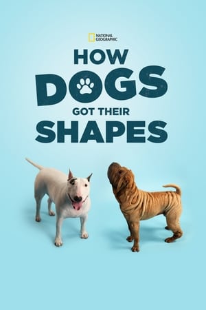 How Dogs Got Their Shapes poszter