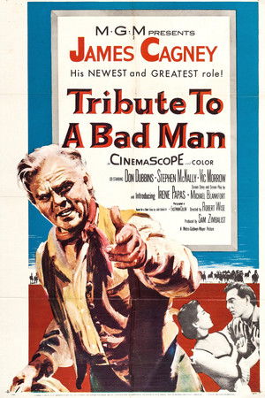 Tribute to a Bad Man poszter