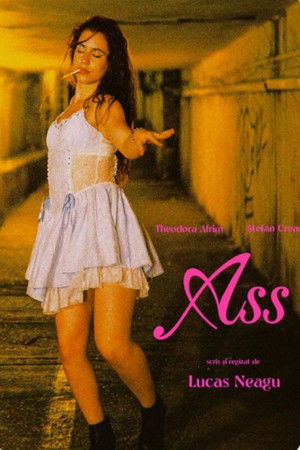 Ass poszter