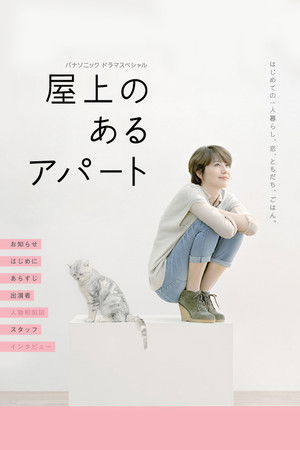 屋上のあるアパート poszter