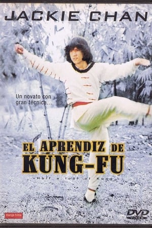 Félmaréknyi kung-fu poszter