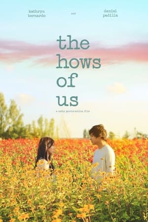 The Hows of Us poszter