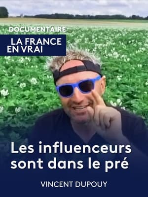 Les influenceurs sont dans le pré poszter