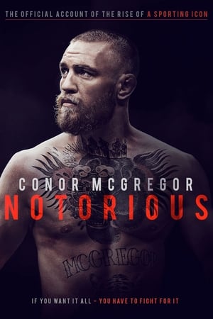 A jól ismert Conor McGregor poszter