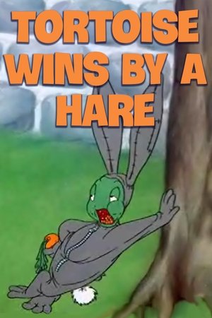 Tortoise Wins by a Hare poszter