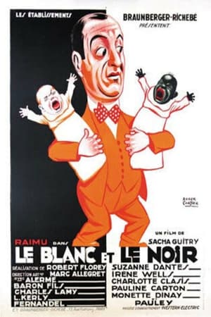 Le blanc et le noir poszter