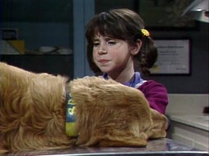 Punky Brewster 1. évad Ep.21 21. epizód