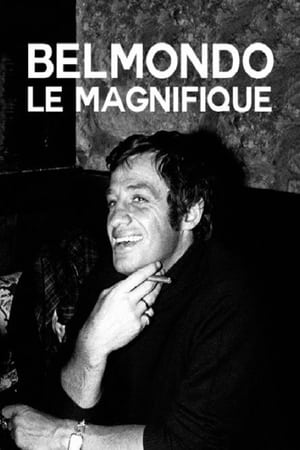 Belmondo, le magnifique poszter