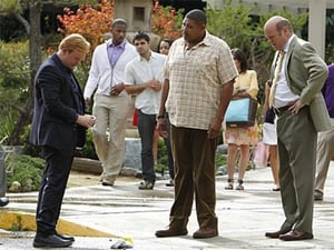 CSI: Miami-helyszínelők 9. évad Ep.15 Vérvágy