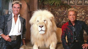 A Tribute to Siegfried & Roy háttérkép