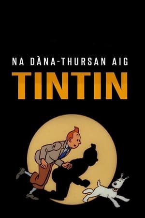 Tintin kalandjai poszter