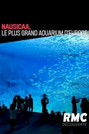 Nausicaa, le plus grand aquarium d'Europe poszter