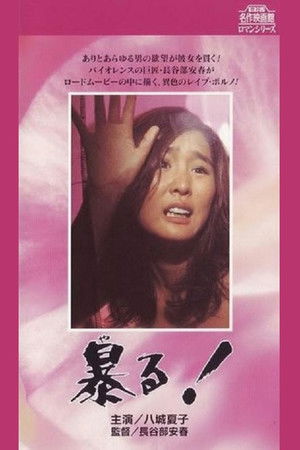 暴る！ poszter