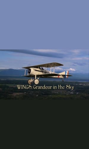 Wings: Grandeur in the Sky