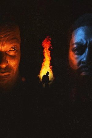 The Fire and the Moth poszter