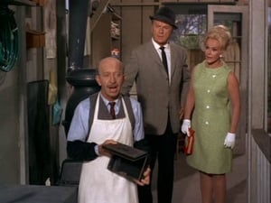 Green Acres Season 3 Ep.17 17. epizód