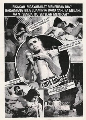 Cinta Annisa poszter