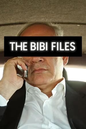 The Bibi Files poszter