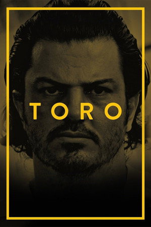 Toro poszter