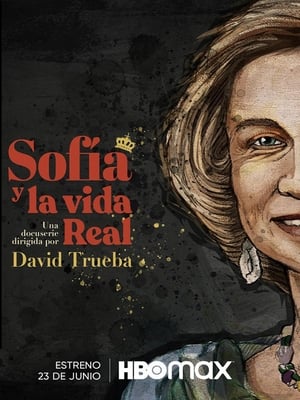 Sofía y la vida real poszter