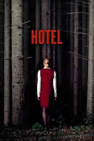 Hotel poszter